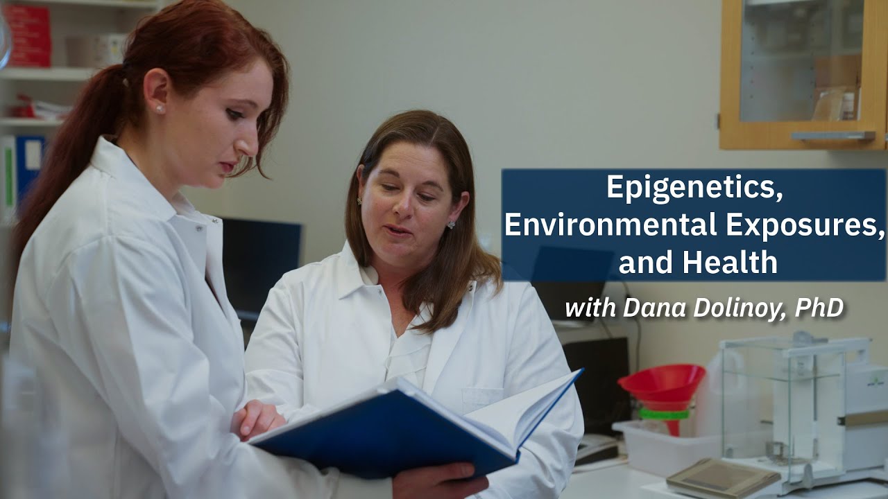 Video: Dana Dolinoy, PhD Explains the Role of Epigenetics in Environmental Exposures and Health teaser image